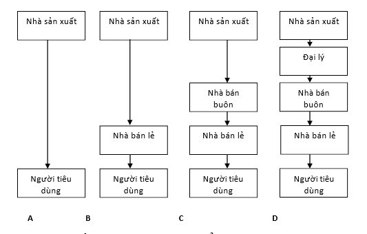 Quyết định phân phối 2